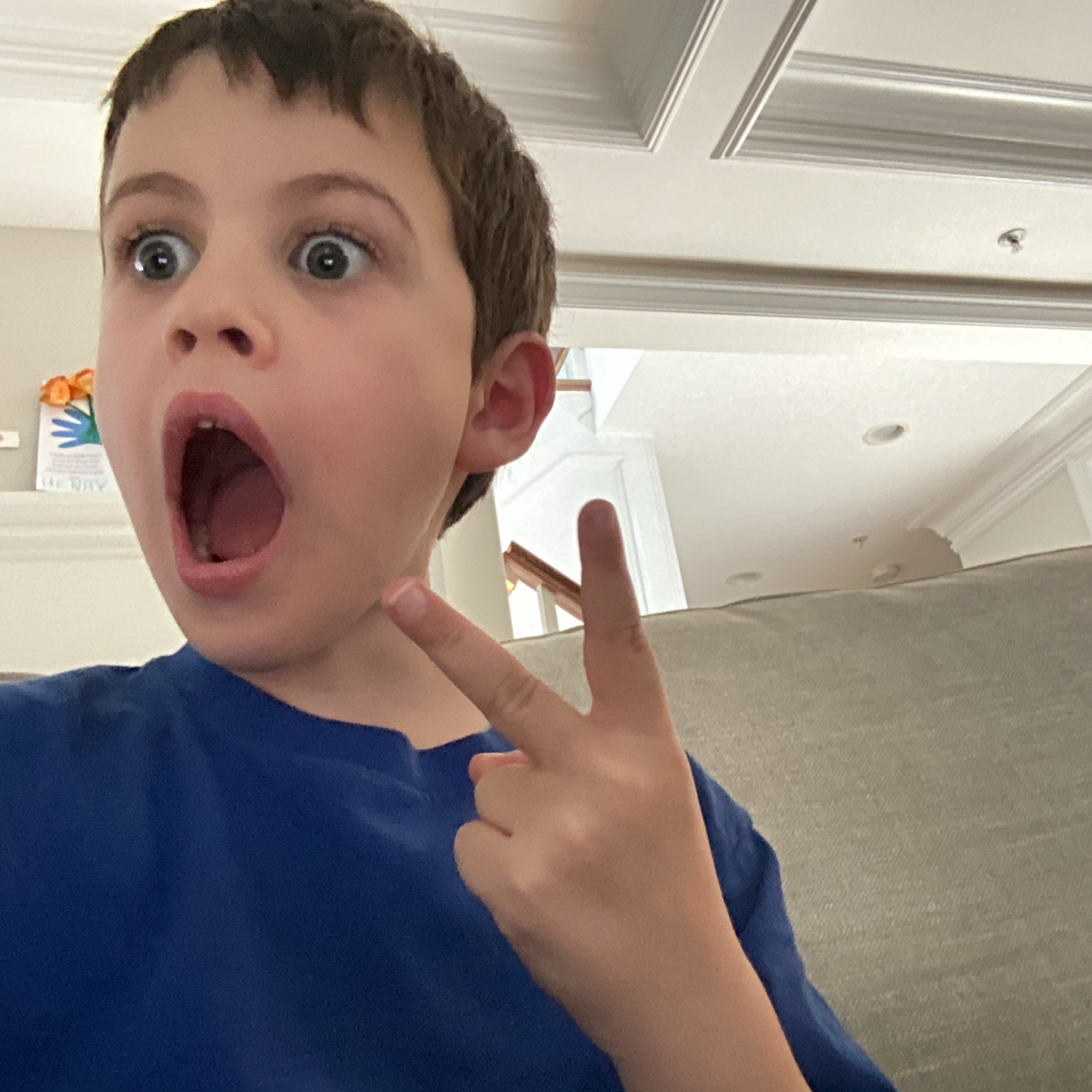 H3D